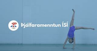 Sumarfjarnámi í þjálfaramenntun nú lokið