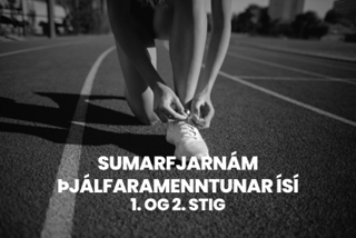 Þjálfaramenntun í fjarnámi - sumarönn 2024