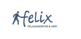 Felix - Starfsskýrsluskil
